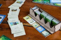 Organizer Puerto Rico 2011 edition The Dicetroyers