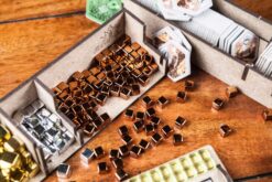 Organizer Terraforming Mars with Prelude, Venus Next expansions The Dicetroyers