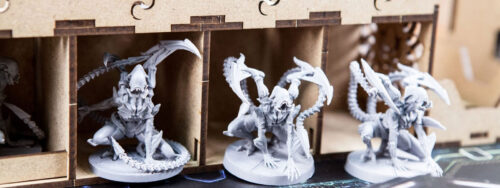 Organizer Insert Nemesis The Dicetroyers