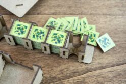 Organizer Puerto Rico (2020) The Dicetroyers