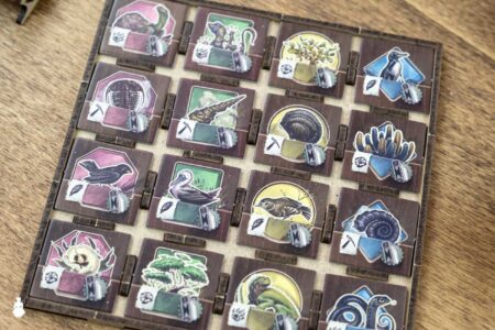 Board Game Insert Organizer Darwin's Journey The Dicetroyers