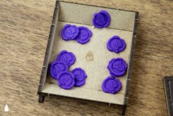 Board Game Insert Organizer Darwin's Journey The Dicetroyers