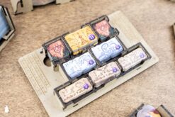 Board Game Insert Organizer Lost Ruins of Arnak All In The Dicetroyers