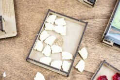 Board Game Insert Organizer Lost Ruins of Arnak All In The Dicetroyers