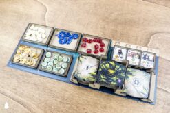 Board Game Insert Organizer Lost Ruins of Arnak All In The Dicetroyers