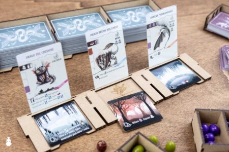 Board Game Insert Organizer Wyrmspan The Dicetroyers