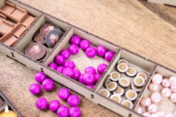 Board Game Insert Organizer Everdell plus exps The Dicetroyers